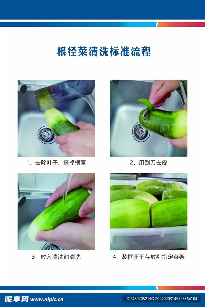 根径菜清洗标准流程