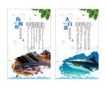 大白鲨 海鳗鱼