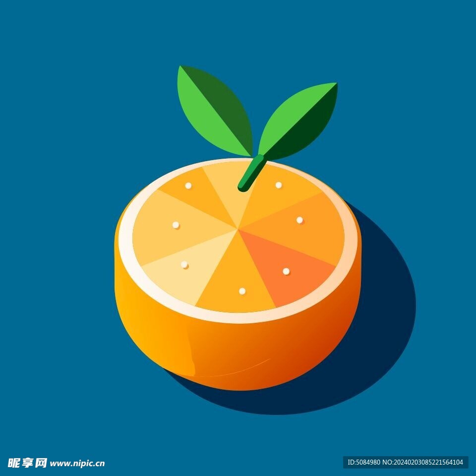 橙柚切面图