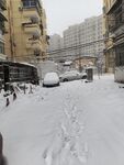 雪景