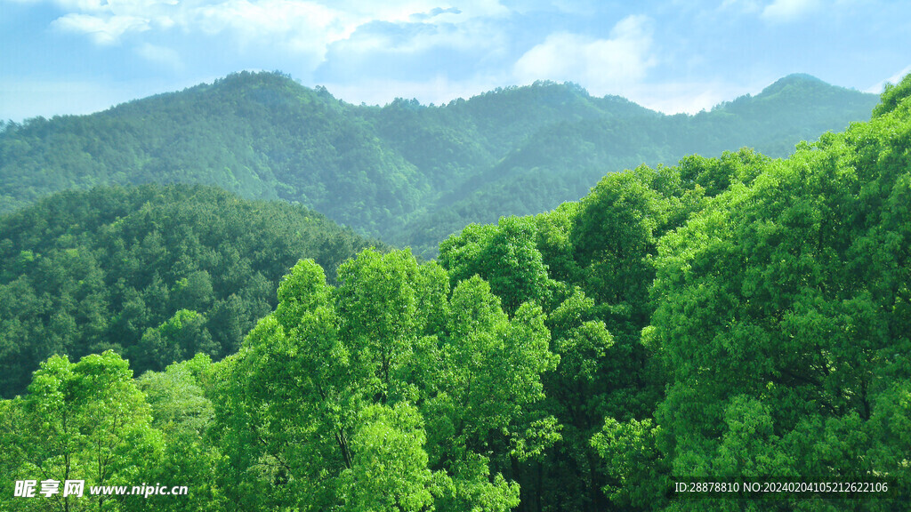 绿色大山