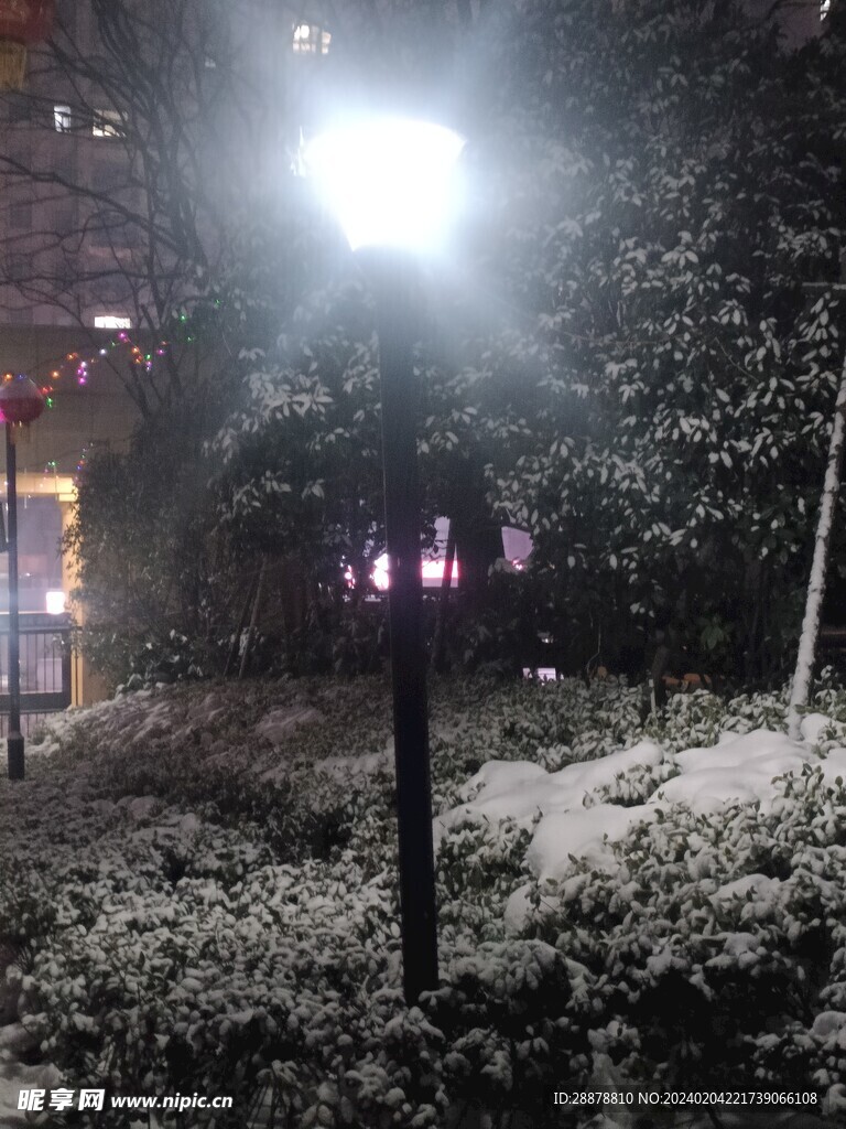 夜色白雪中的灯光