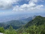 泰山