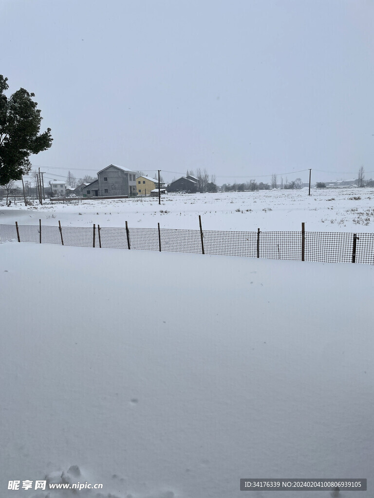 雪景