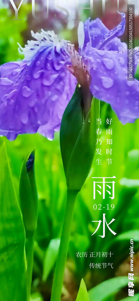 雨水节气