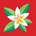 简洁的彩色节日素材茉莉花
