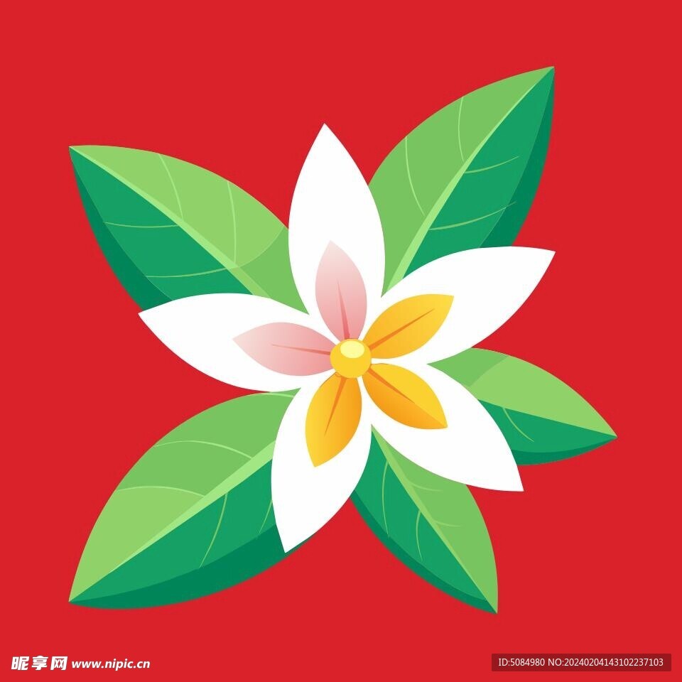 简洁的彩色节日素材茉莉花