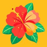 色彩斑斓的报春花