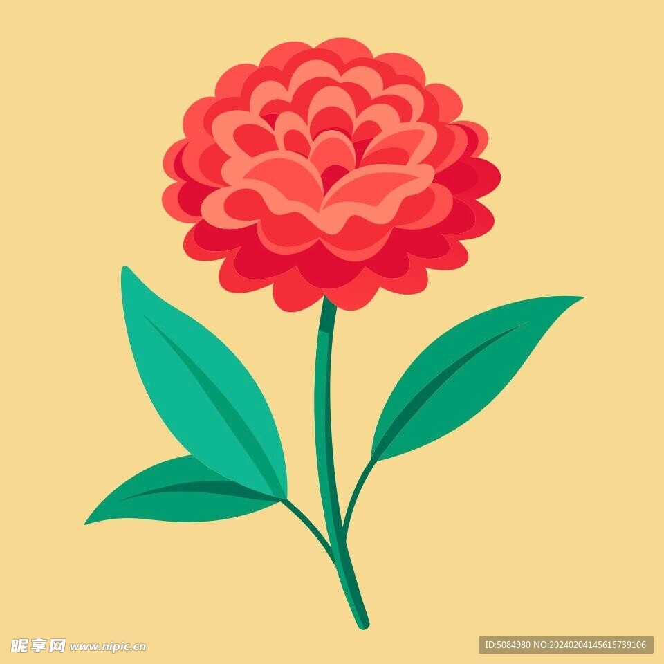 简洁的彩色节日素材康乃馨