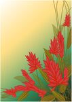 水彩植物红色花卉背景素材
