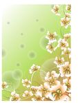 花枝水彩手绘背景素材