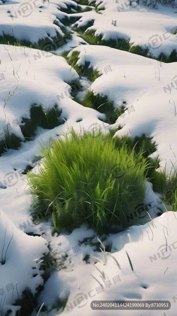 雪地露出绿色草皮 俯视图