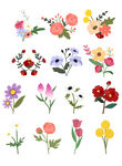 花插图