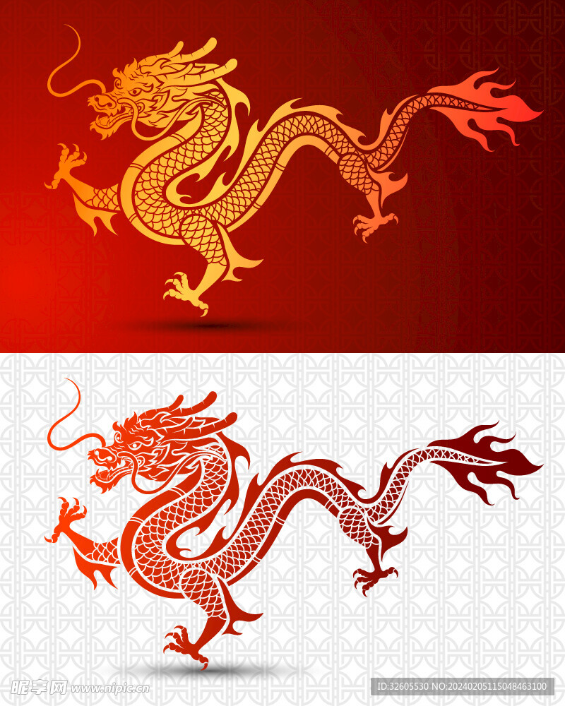 龙