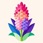 简洁的彩色节日素材风信子