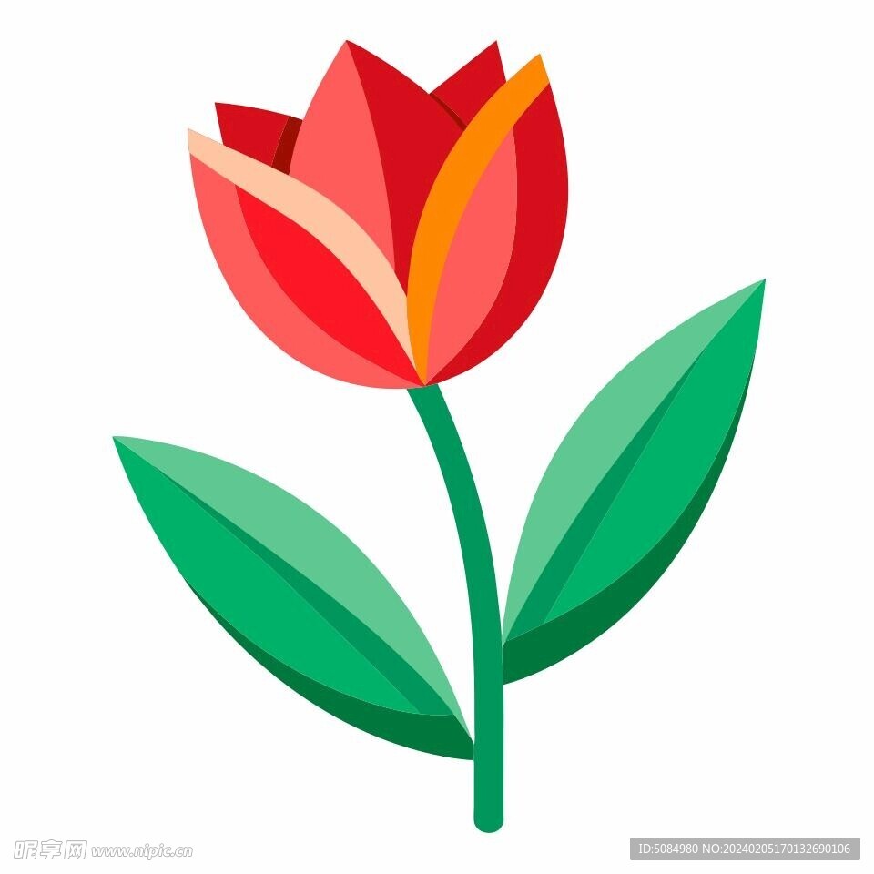 简洁的彩色节日素材郁金香