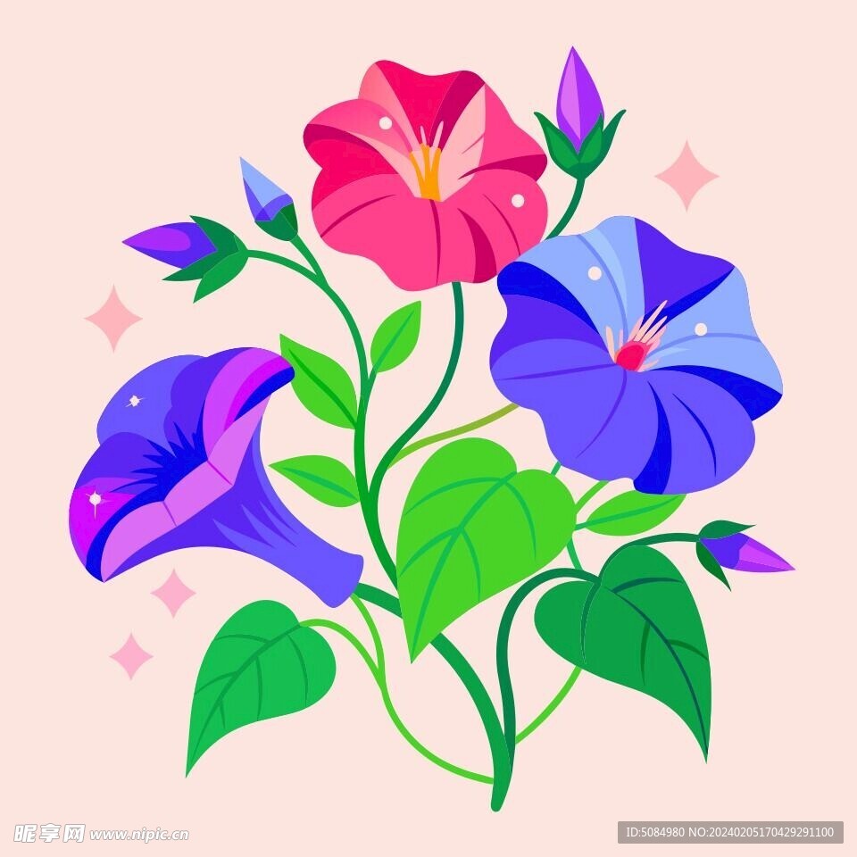 简洁的彩色节日素材牵牛花