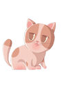 猫咪
