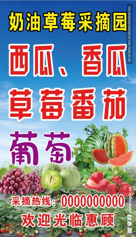 奶油草莓