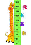 儿童身高标尺