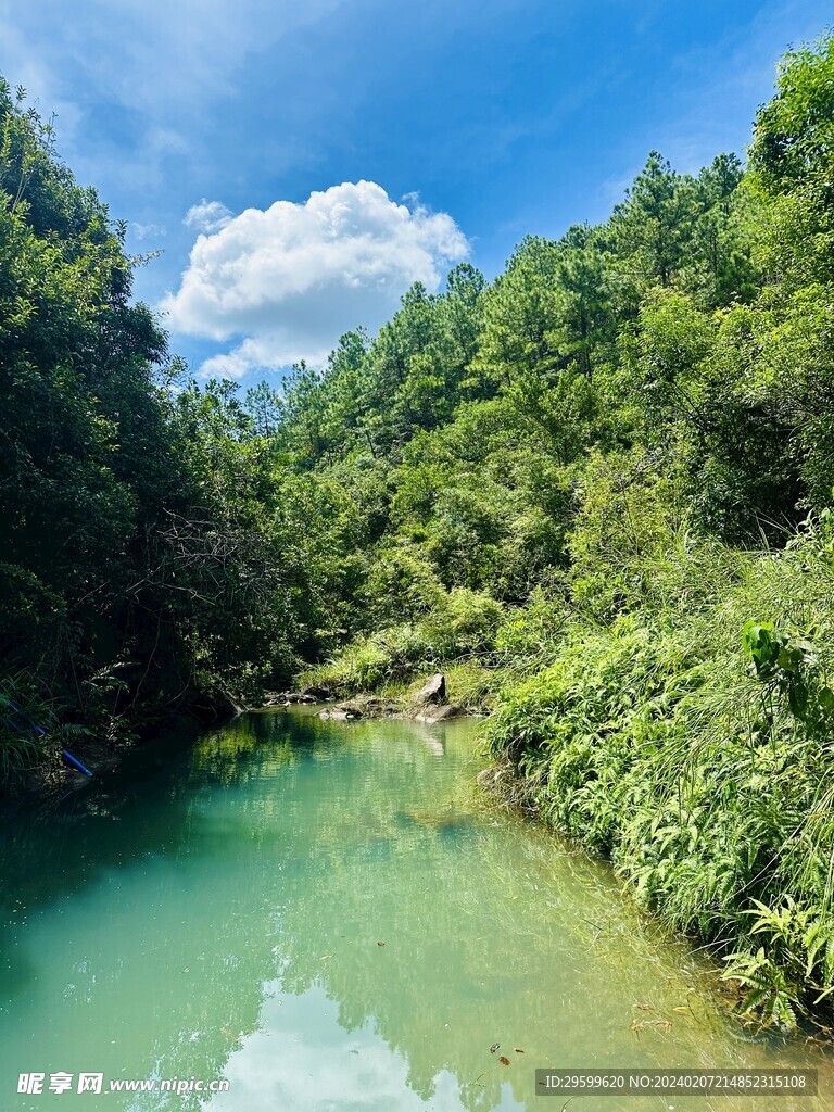 森林公园