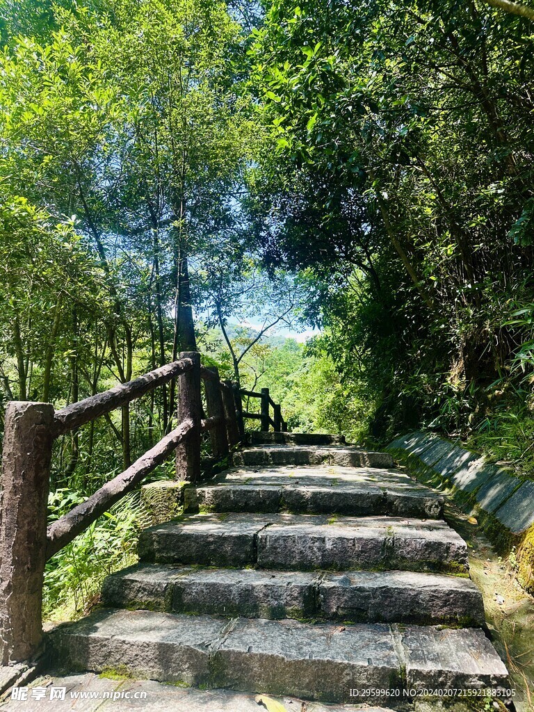 森林公园