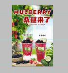 桑葚来了