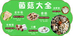 菌菇大全