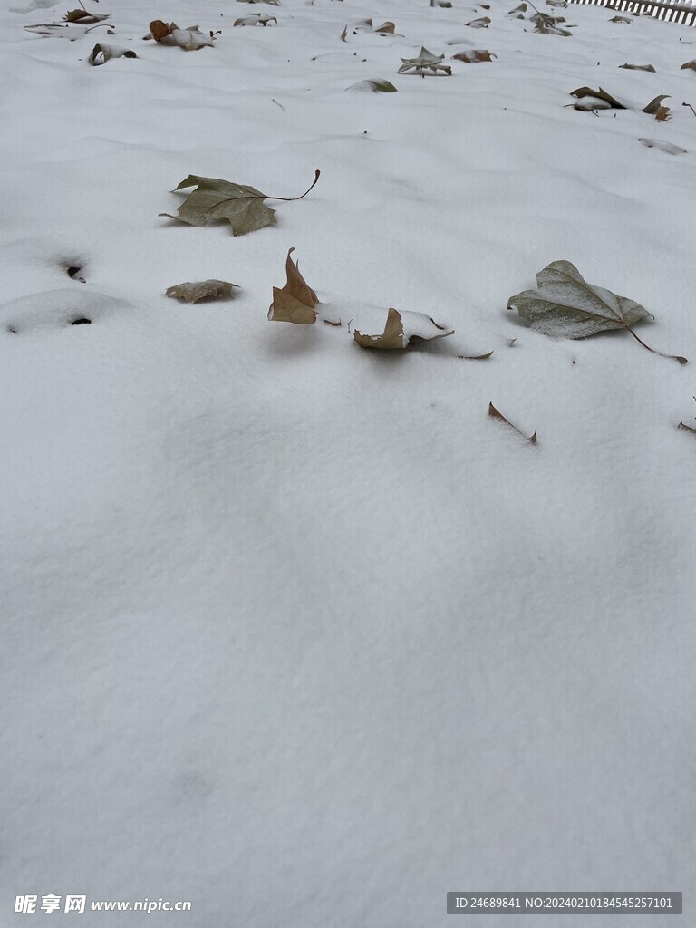 大雪