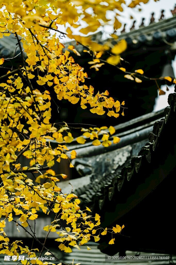 屋檐图片