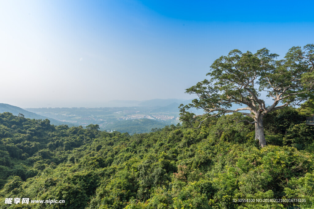 美丽湖泊山峰森林风景图片