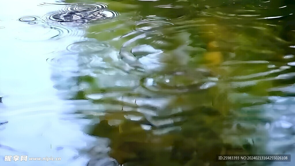 雨中的池塘