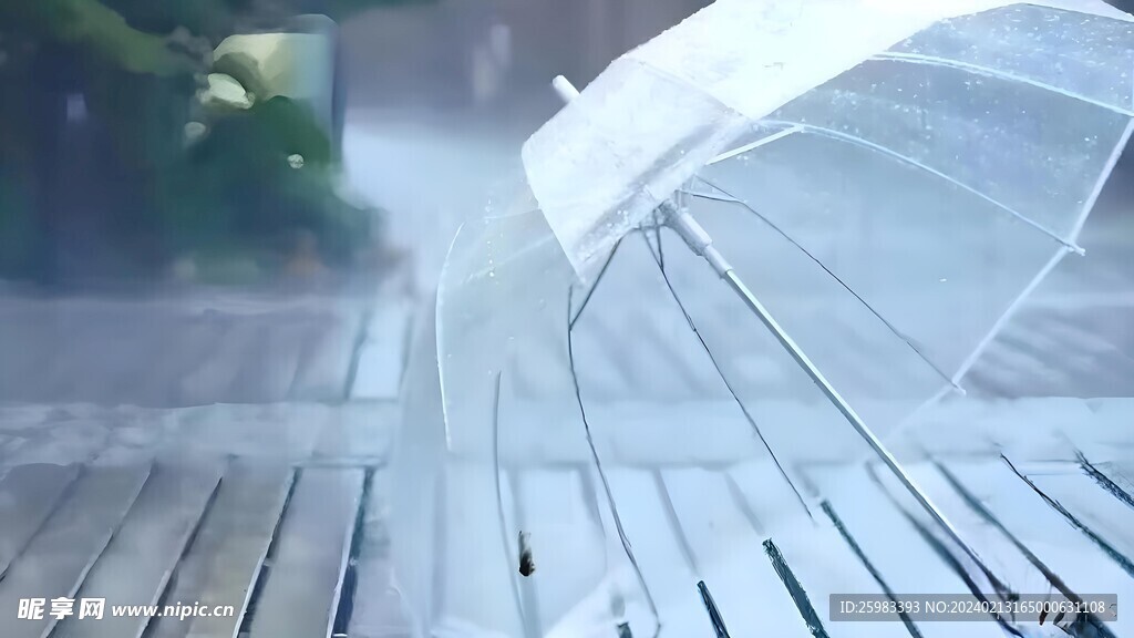 雨伞