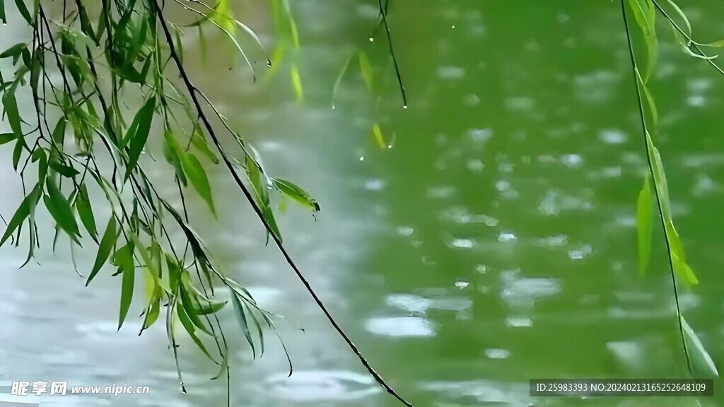 雨中的池塘