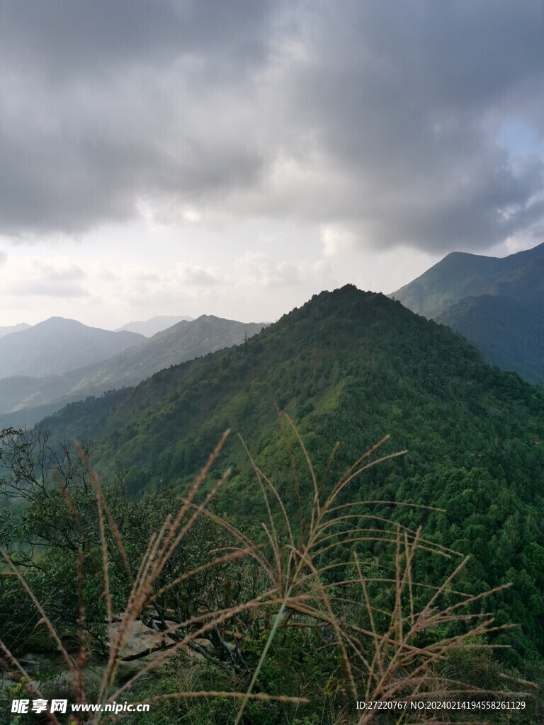 登山 风景  森林 丘陵