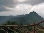 高山风景  森林