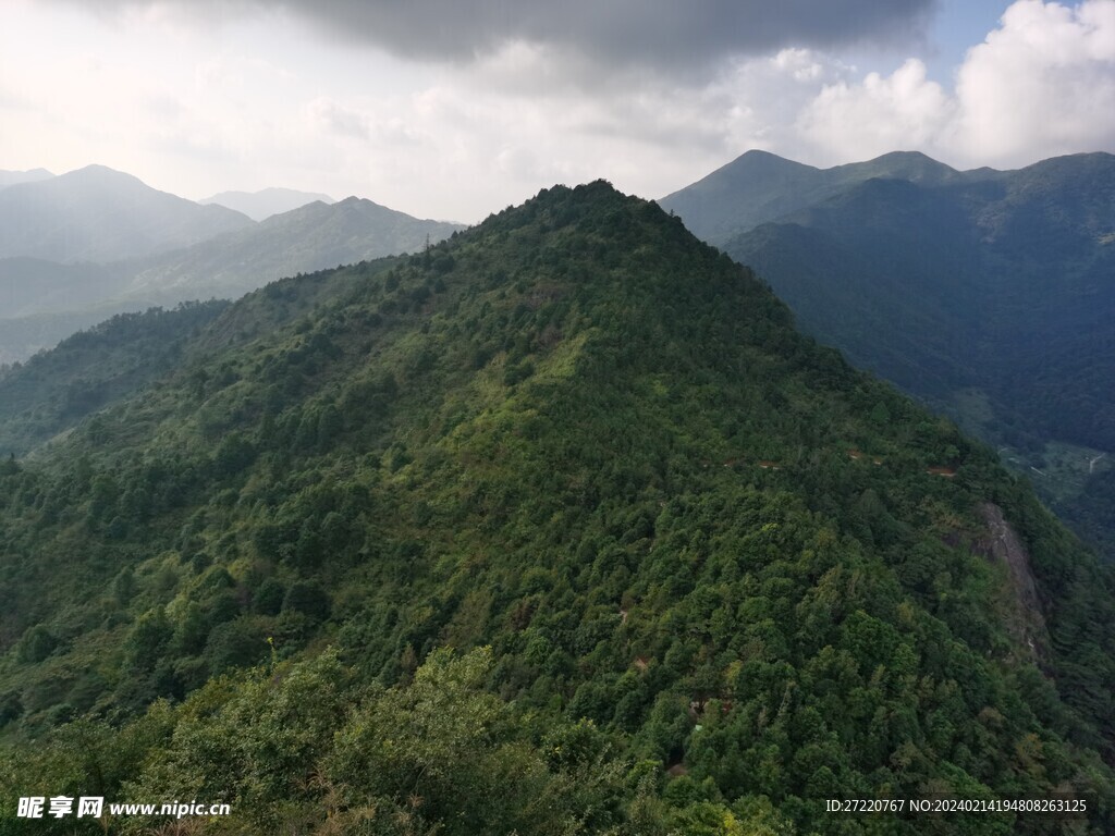 丘陵 森林 