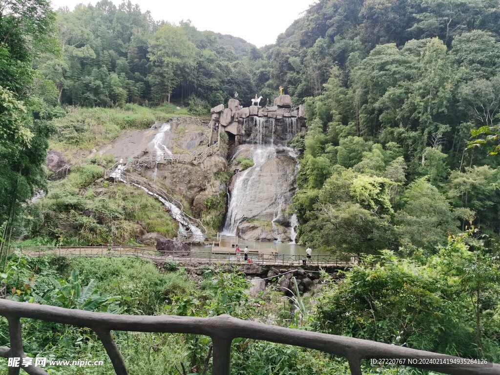 竹林  流水