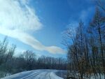 冬天 北方 树木 雪景