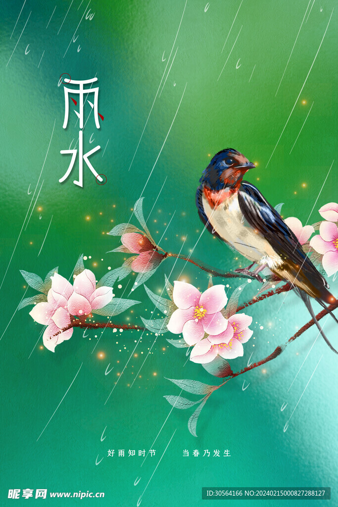 雨水