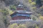 鸟语林建筑