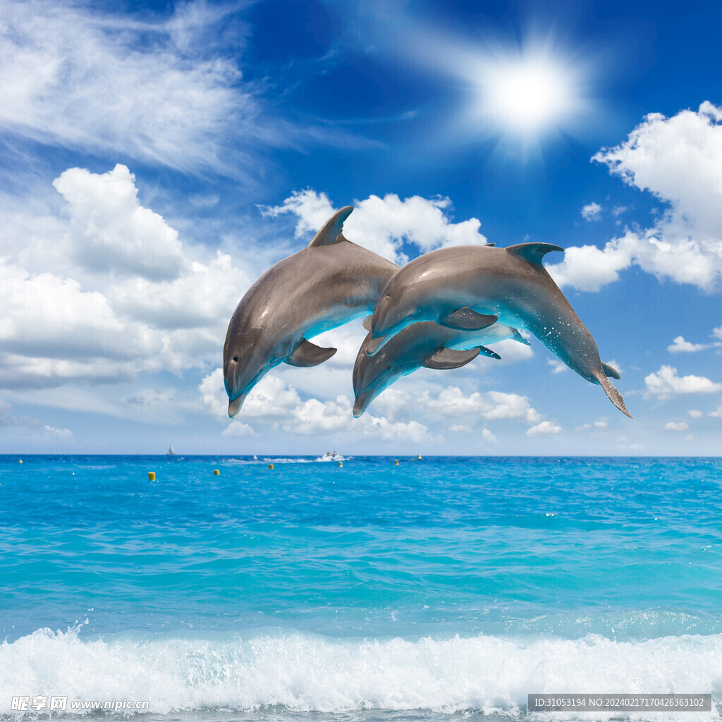 海滩