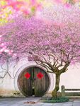 桃花下房子