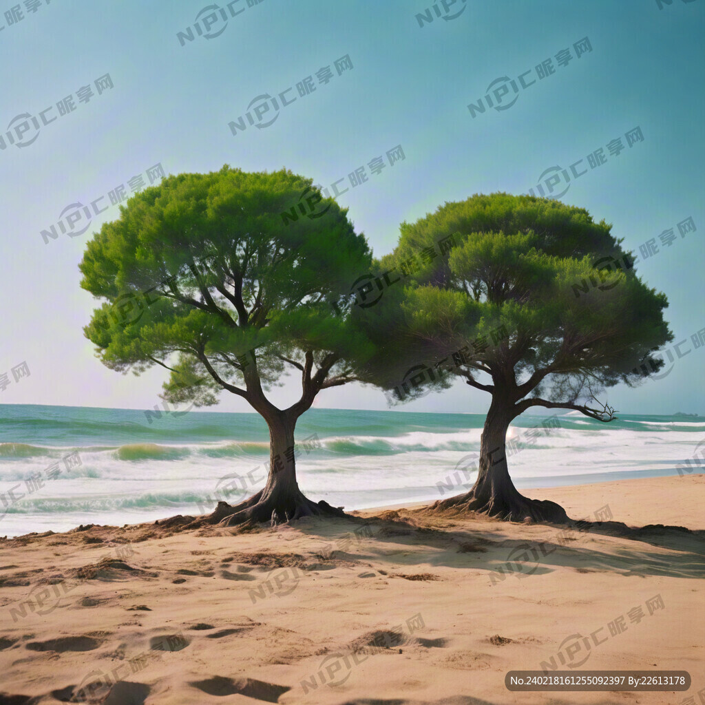 海边 三棵树  绿色