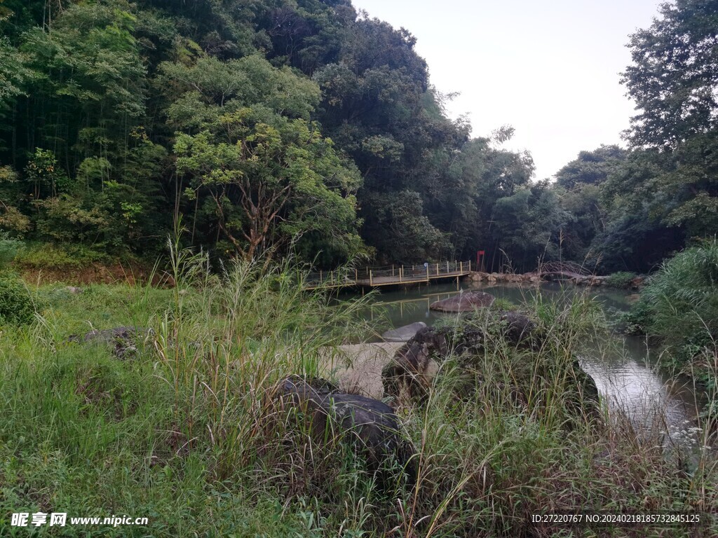 山水风景 自然森林 