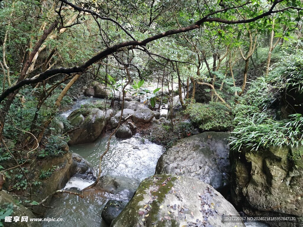 原始山林风景  河流