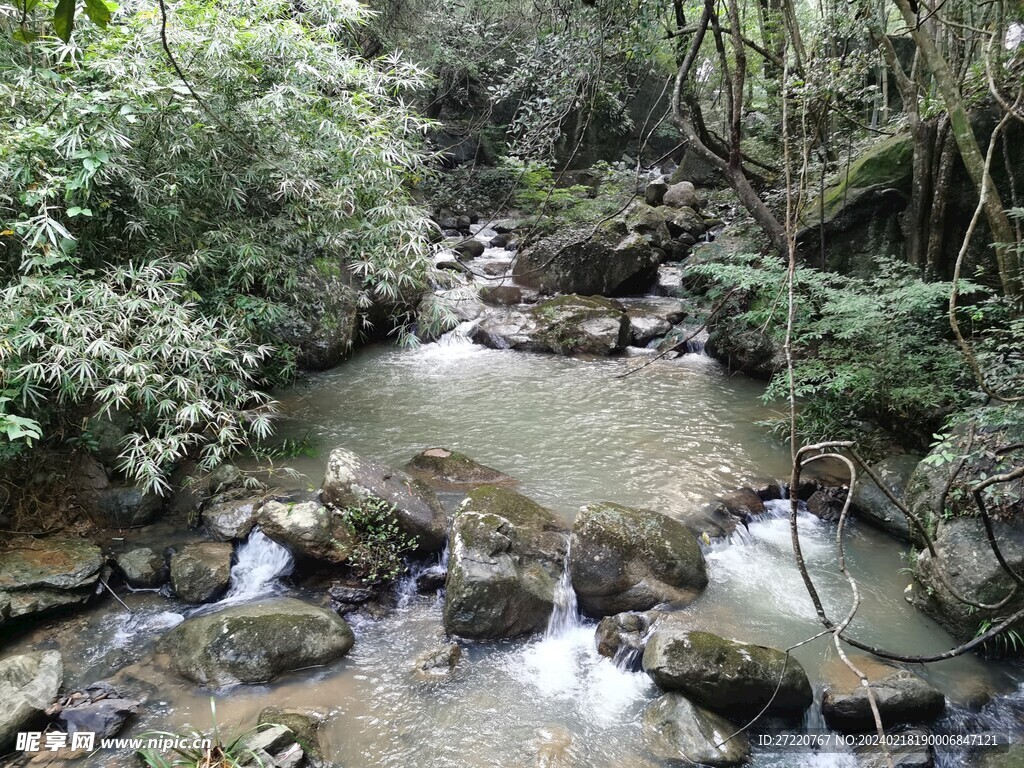 山林  溪流