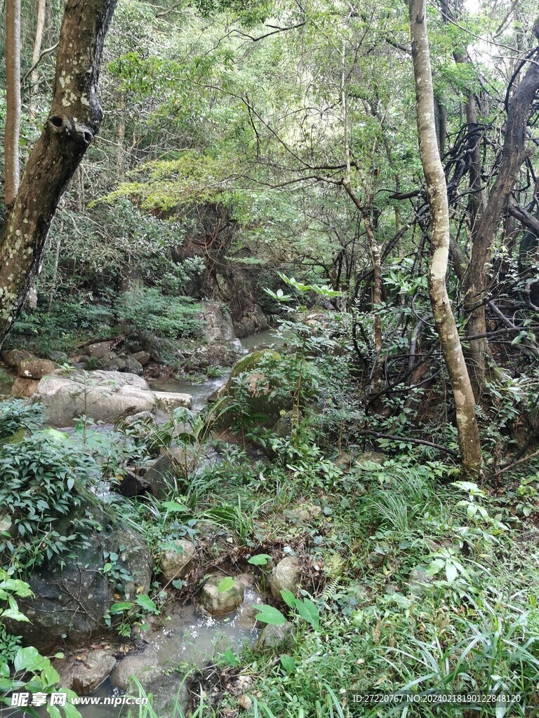 山水风景  自然