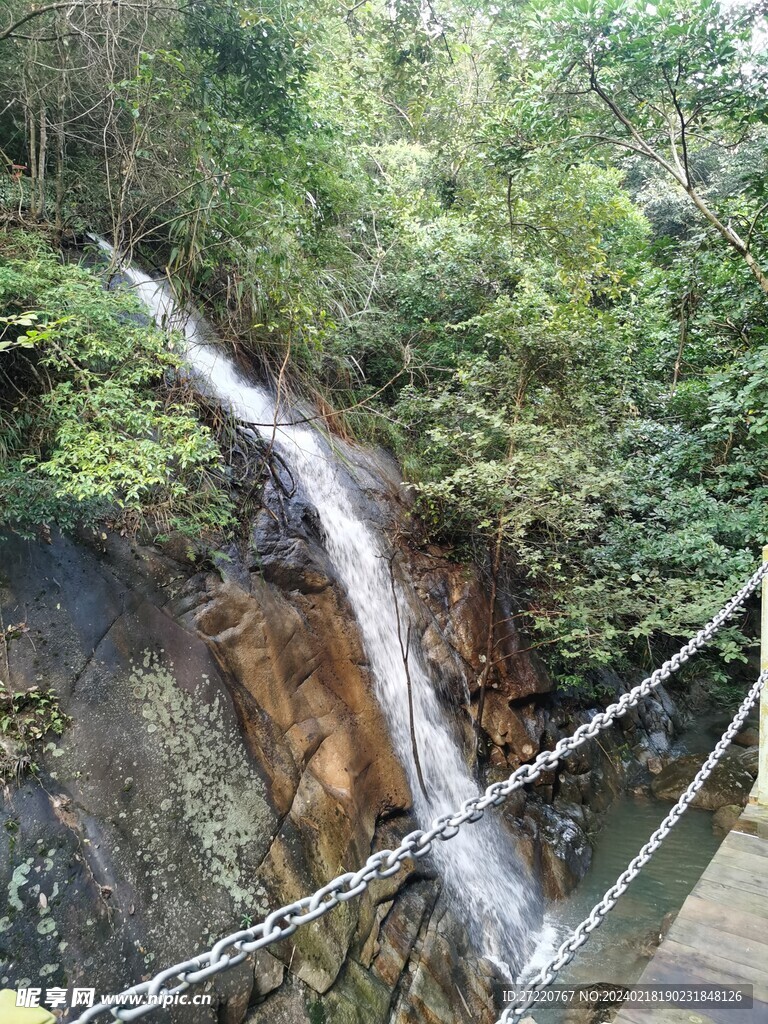 瀑布  流水 森林