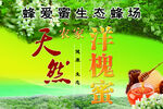 蜂蜜宣传 洋槐蜜